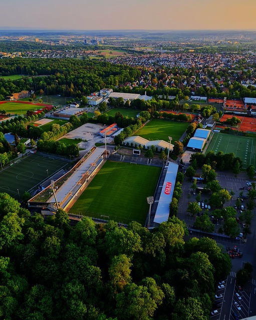 的高強度競 的高強度競