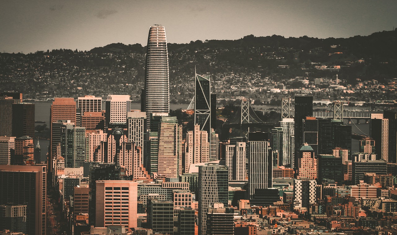 业历程后 业历程后