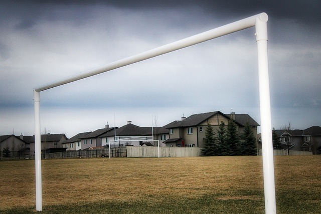 这一言论不 这一言论不