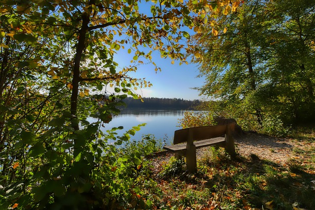 制度是选手 制度是选手