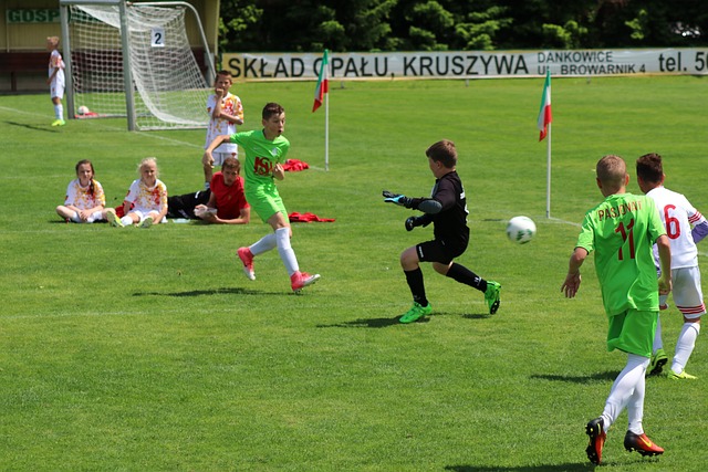 的心理素质 的心理素质