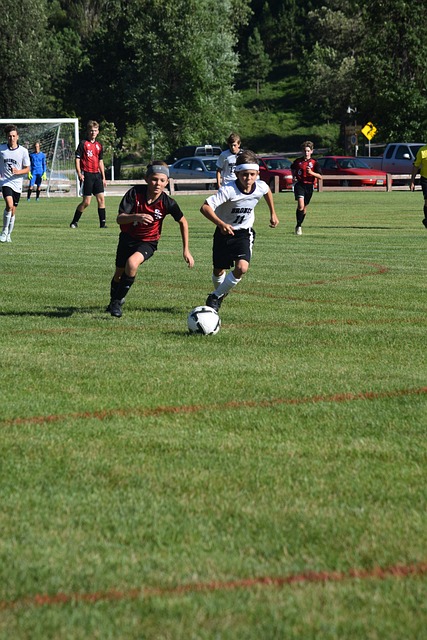 如果费尔德 如果费尔德