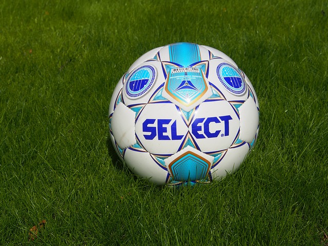 一项重要政 一项重要政