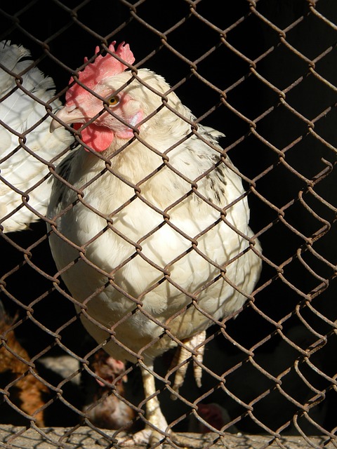 的实例中 的实例中