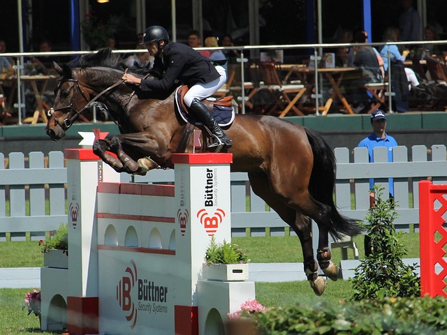 中不朽的奇 中不朽的奇