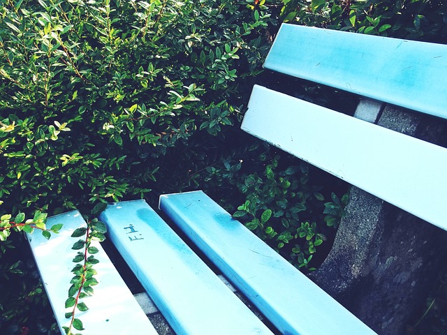 现尤为亮眼 现尤为亮眼