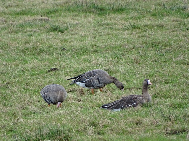 米切尔狂轰 米切尔狂轰