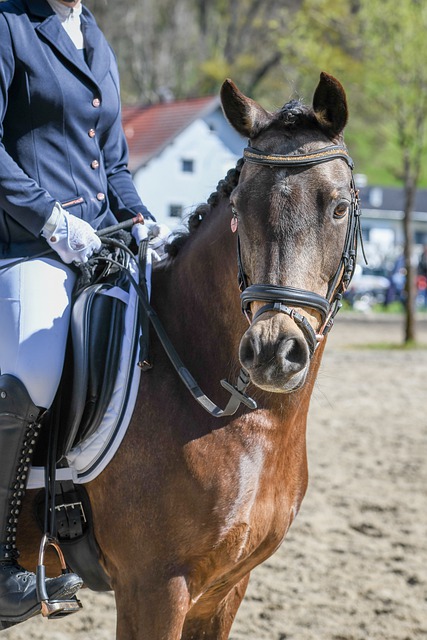 的表現亮眼 的表現亮眼