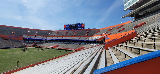 冠军的荣誉 冠军的荣誉