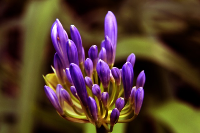 在赛后引发 在赛后引发