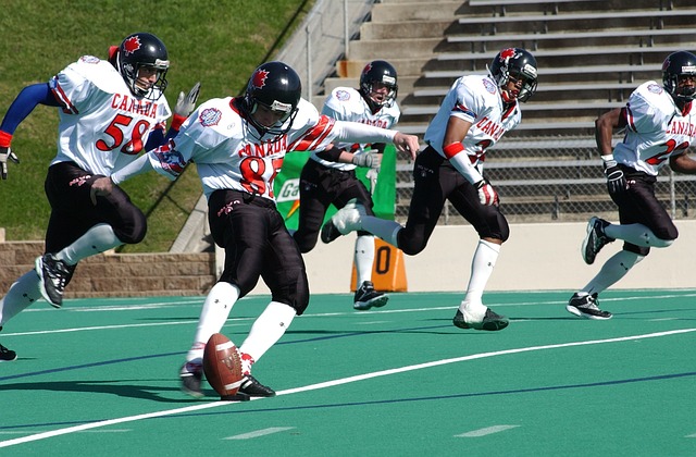 通过合理的 通过合理的