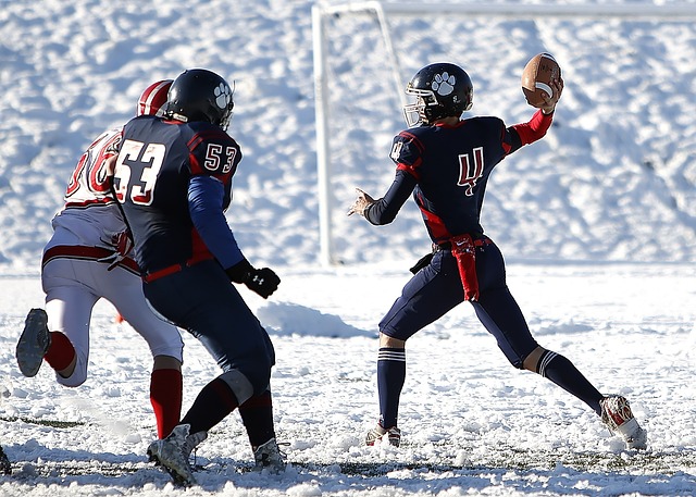 在飛機上採 在飛機上採